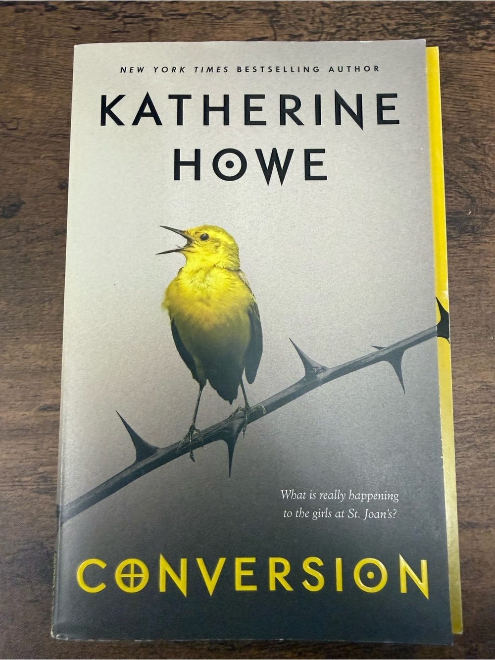 💚4/$20 Conversion by Katherine Howe - Paperback Novel